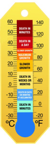 Skinny Thermometer